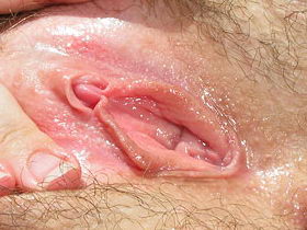 Labia Minora