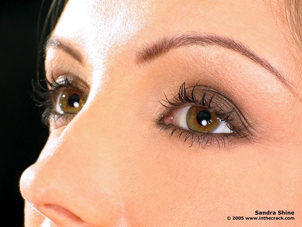sandra-shine-04.jpg
